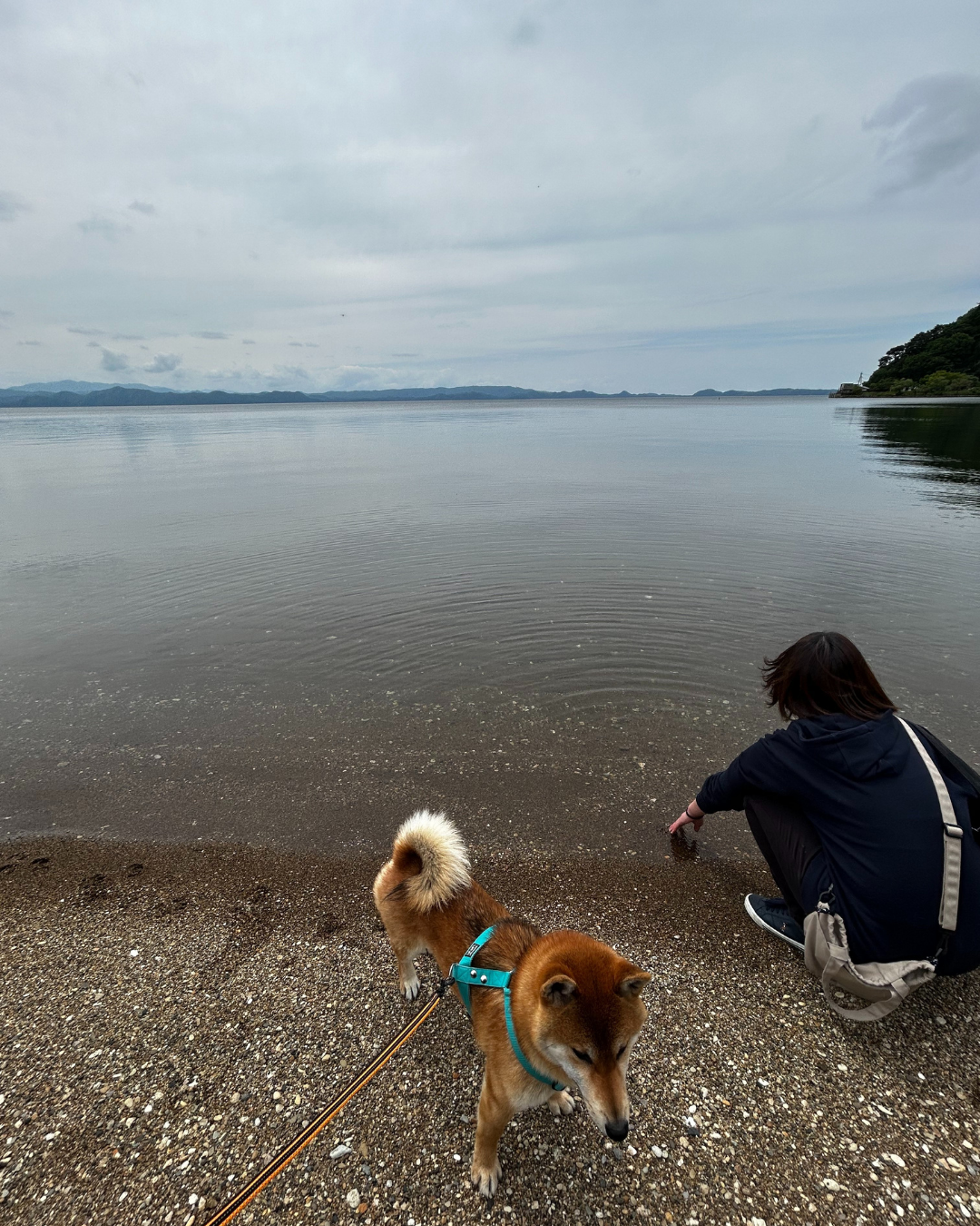 湖畔での一枚